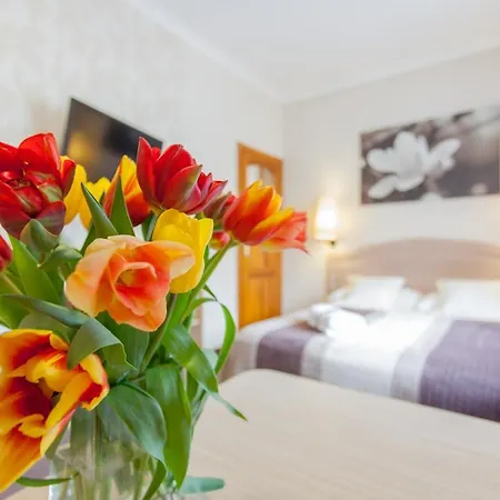 Gasthuis Anna - - Free Parking, Taras, 1500m Do Starowki