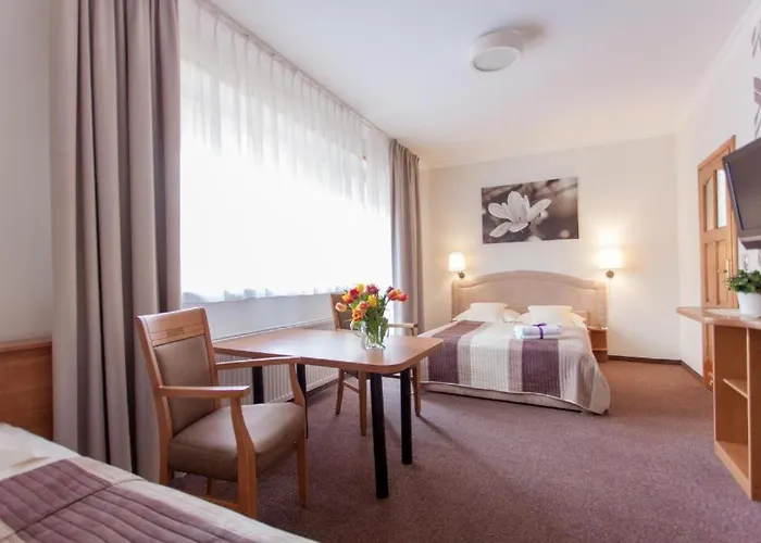 Anna - - Free Parking, Taras, 1500m Do Starówki Pensionat