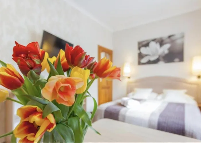 בית הארחה Anna - - Free Parking, Taras, 1500m Do Starowki 3*