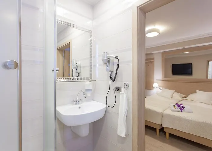 Anna - - Free Parking, Taras, 1500m Do Starowki 3*