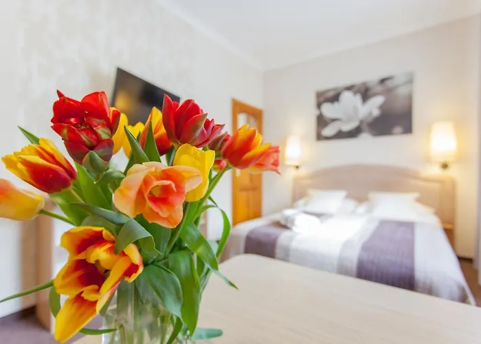 Affittacamere Anna - - Free Parking, Taras, 1500m Do Starowki